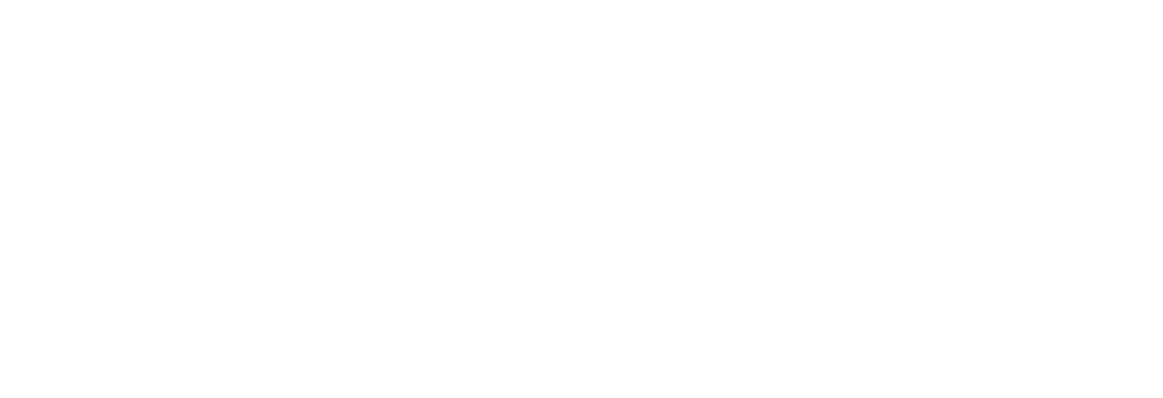 Maximum Impact Travel